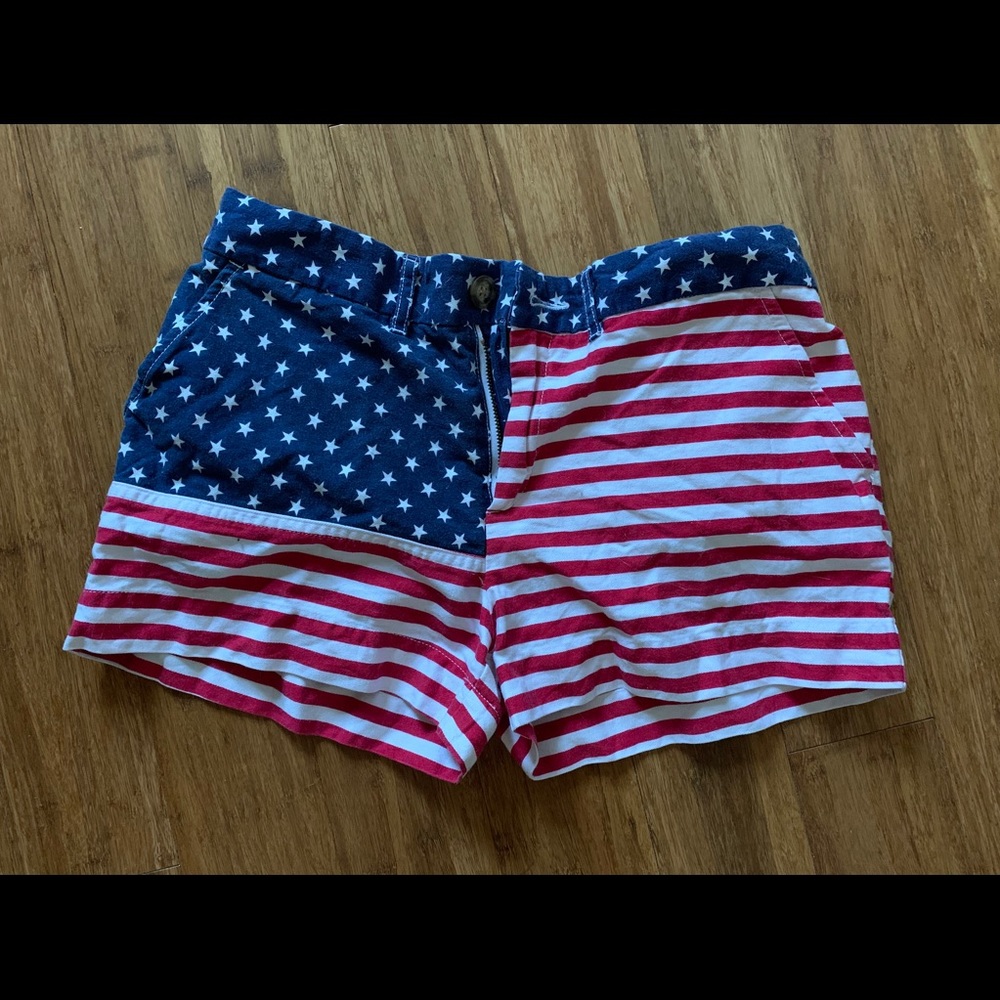 Chubbies America Shorts 8
